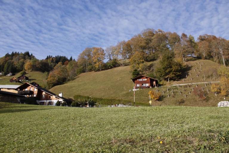 Ferienhaus Matt
