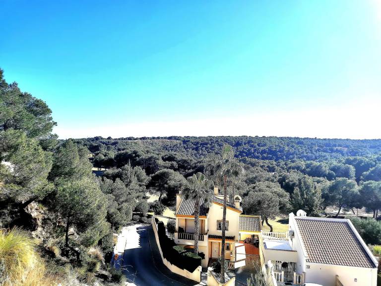 Apartamento Dehesa de Campoamor