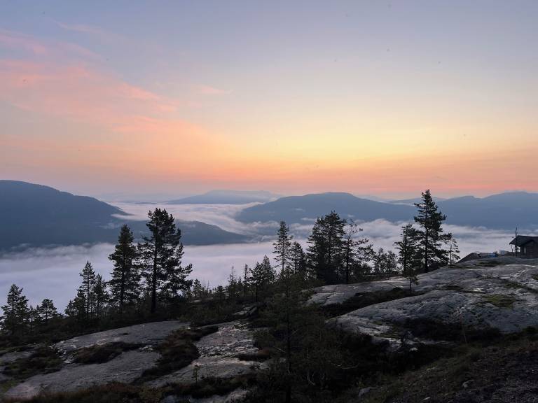 Hytte Vrådal