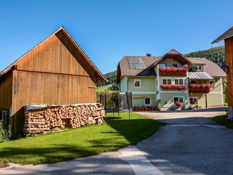 Bauernhof Spital am Pyhrn