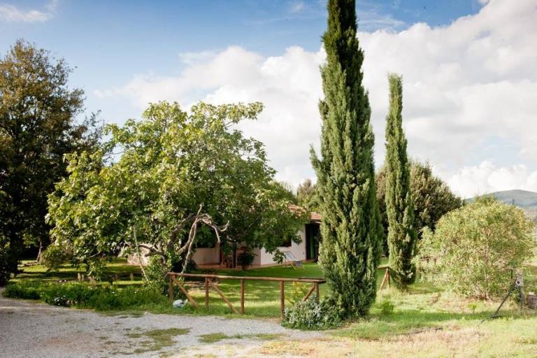 Habitación privada Grosseto