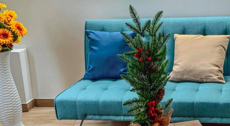 House | Near Church of the Gesù | Pets allowed in Palermo