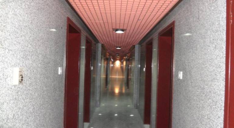foto19