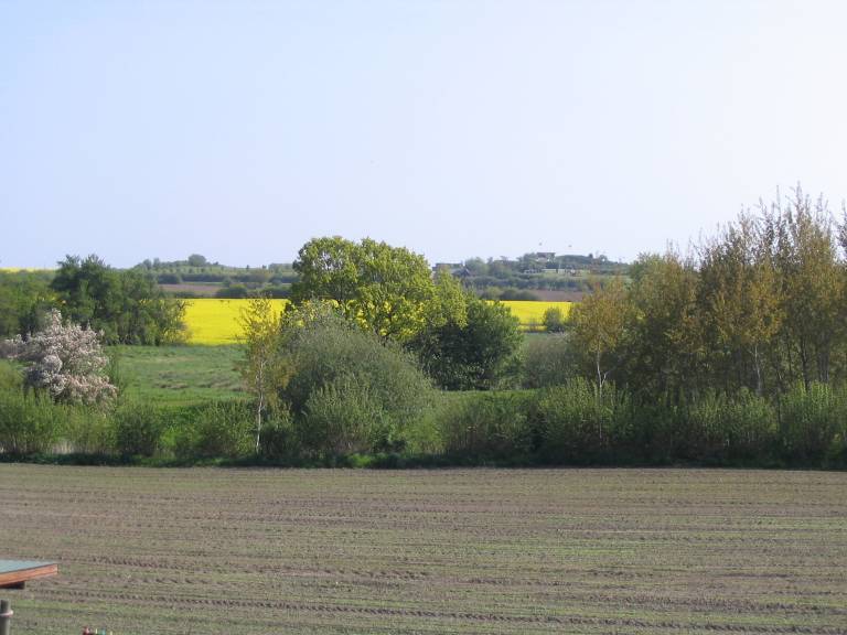 foto11
