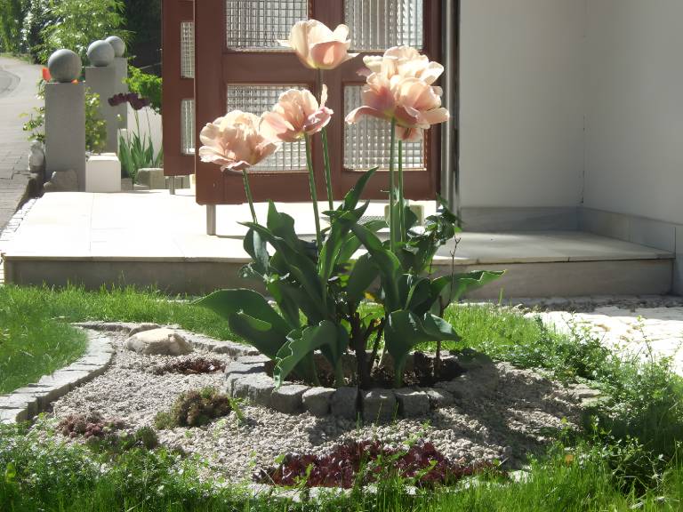 foto11