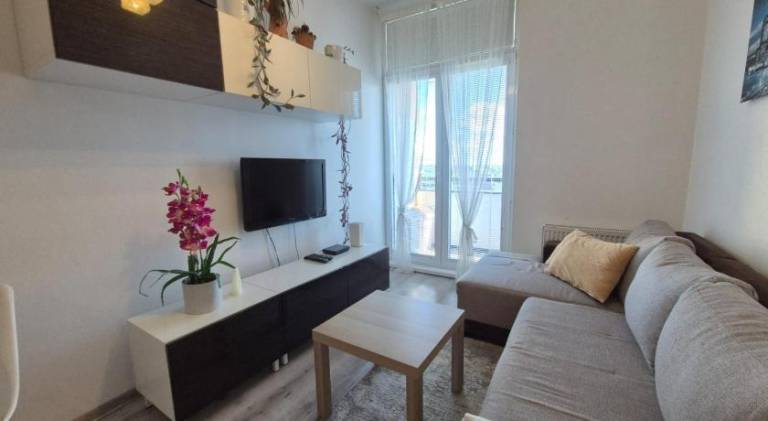 Rental apartment | Pet-friendly — photo 2