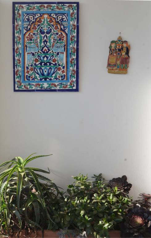 foto11