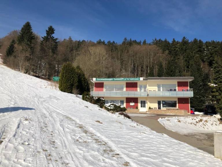 Fully equipped holiday apartment with terrace | Mountain view | Ski nearby | Pets allowed — photo 3
