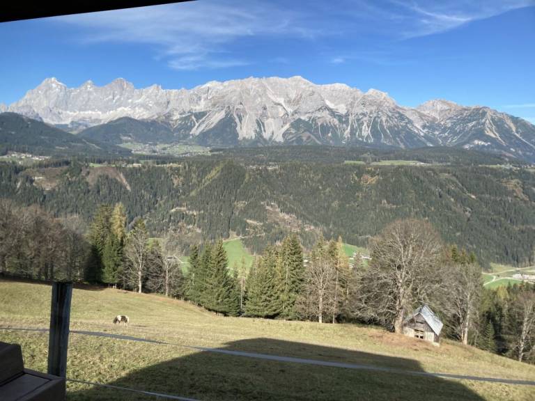 foto18