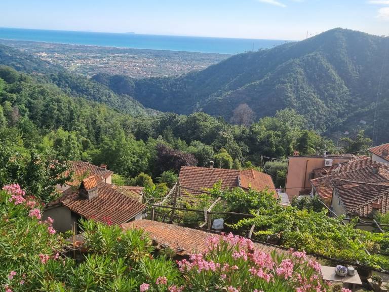 Ferienhaus Seravezza