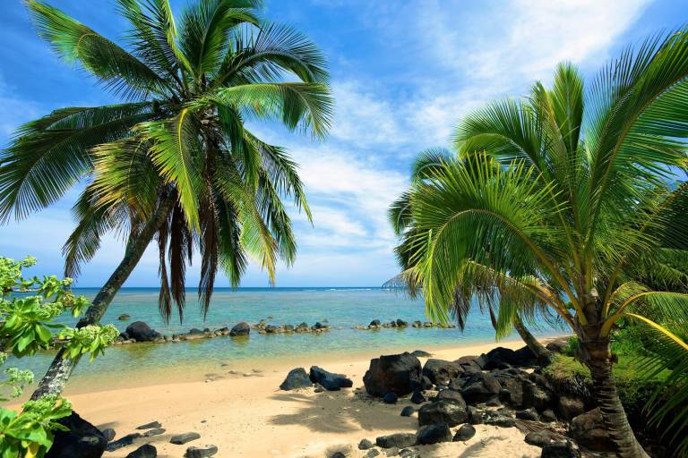 Condo  Princeville