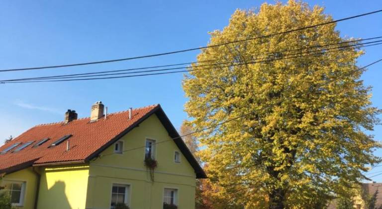 Bed & Breakfast  Böhmische Schweiz