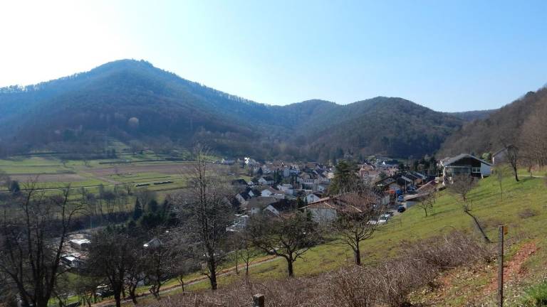 foto6
