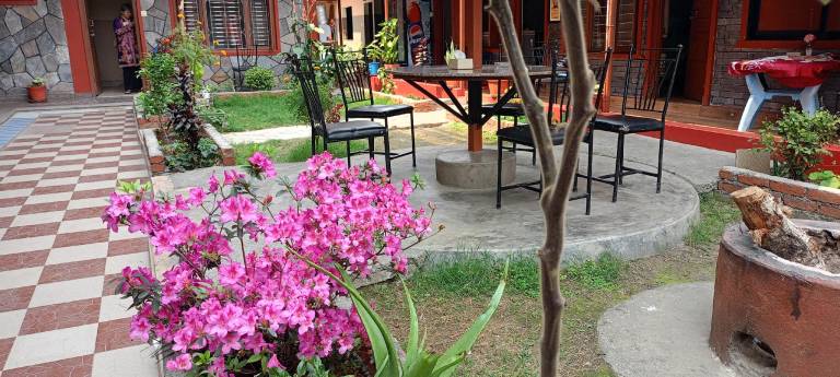 Pokhara Metro Eco Hotel Pvt. Ltd — photo 2