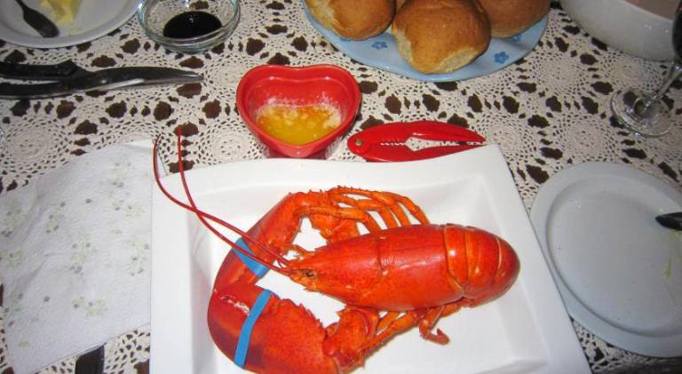 foto15