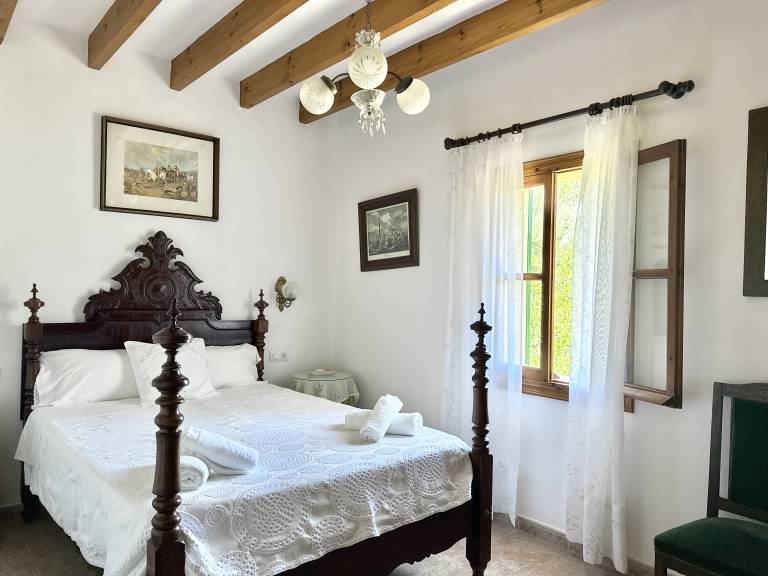 foto31