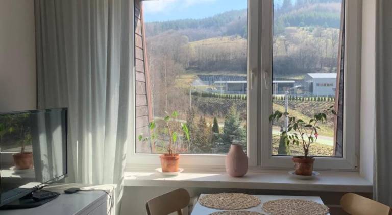 Nice holiday apartment | Pet-friendly — photo 3