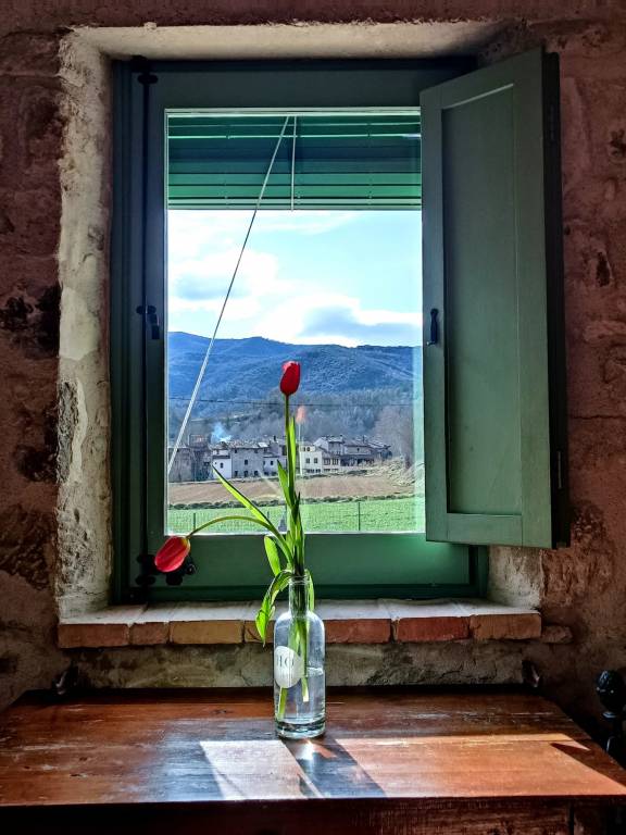 foto26