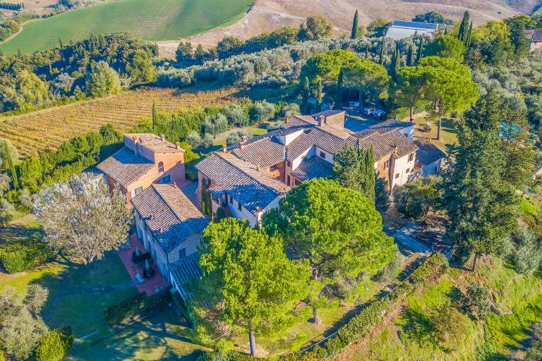 Amazing Chianti Site Olivo Shared Pool