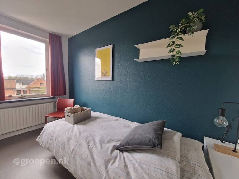 foto11