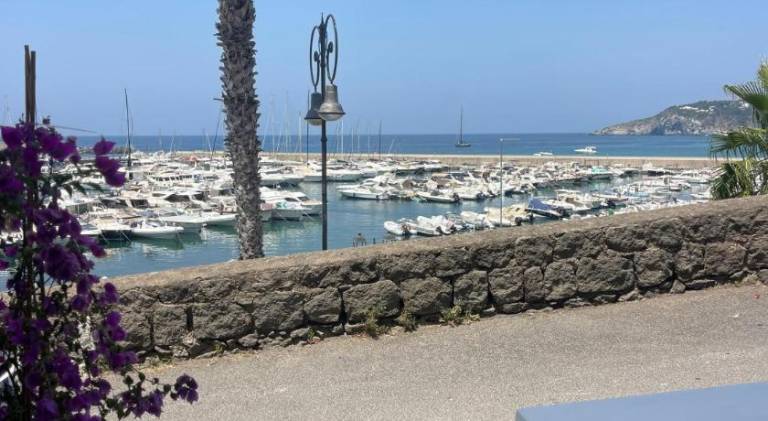 La nuova casetta del mago — photo 3