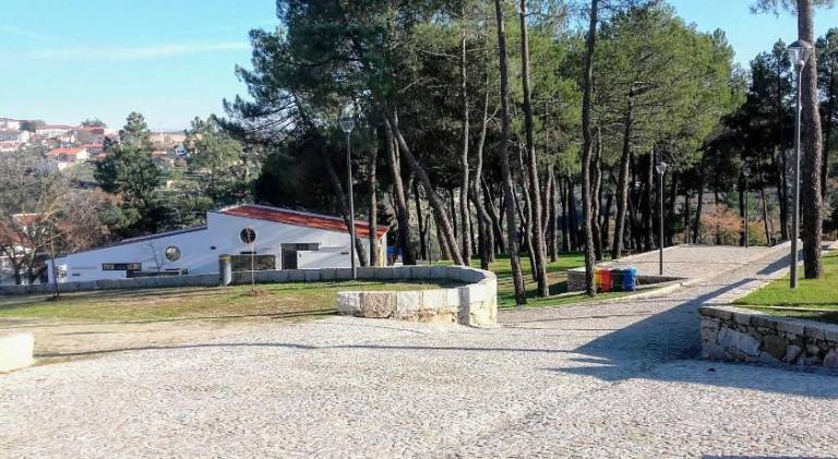 foto42