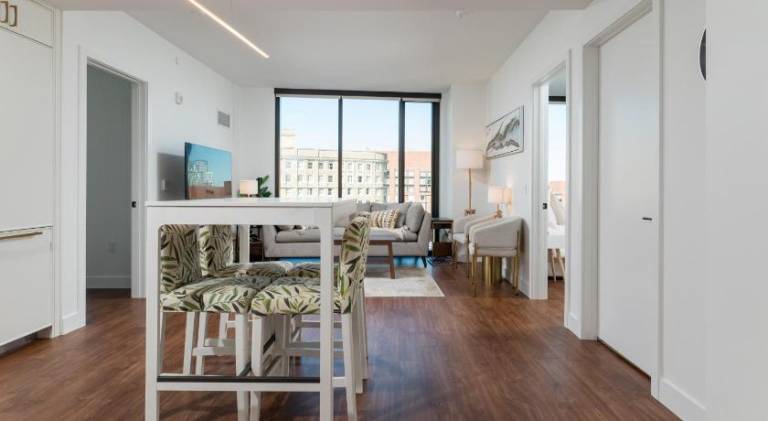 Luxury 2BR BackBay Boston Common T-station Roof Top Lounge Gym — photo 5
