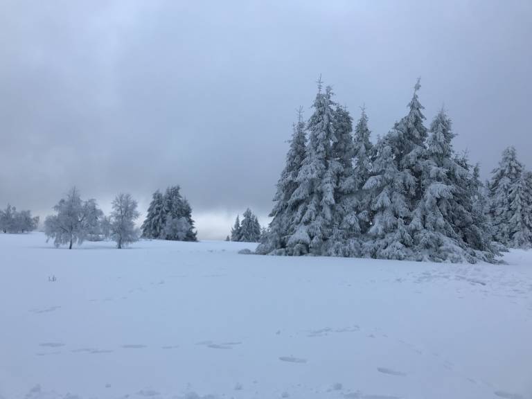 foto2