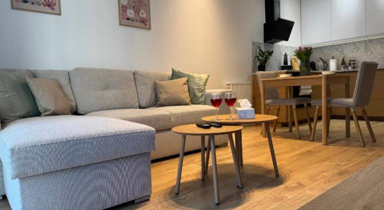 Charming apartment | Pet-friendly in Bielsko-Biala