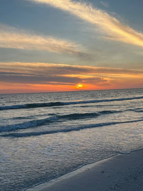 Condo  Lido Key