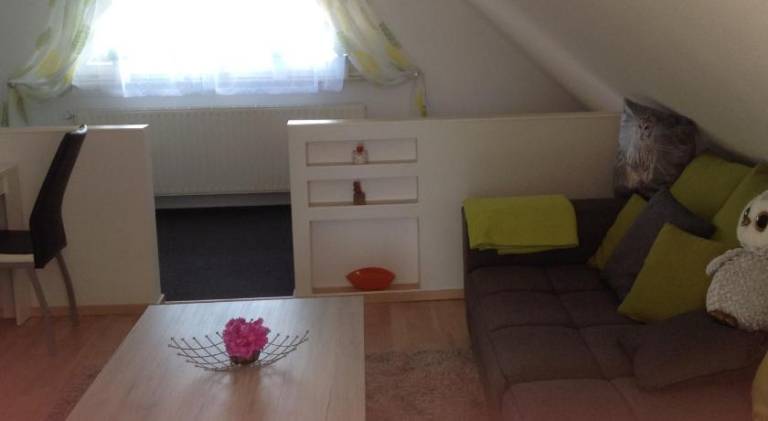 foto17