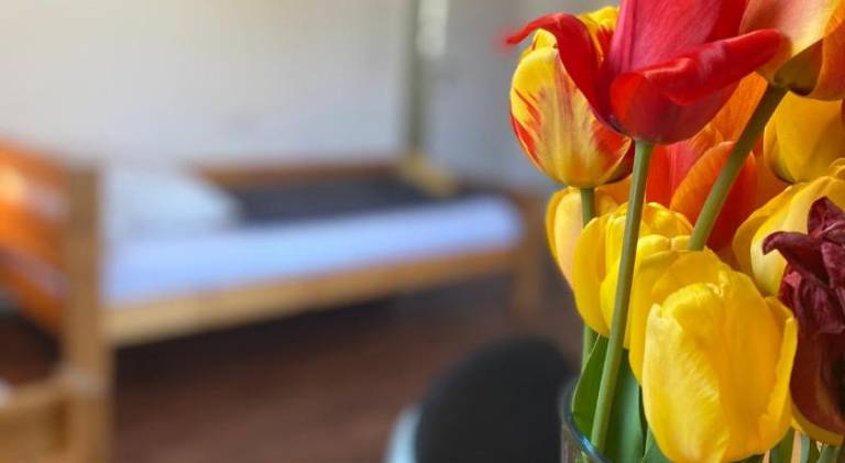 Deluxe helles Apartments mit Terrasse & WLAN zw Freiburg u Frankreich, private Zimmer fur die Handwer in Freiburg im Breisgau