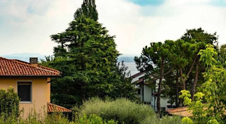 Beautiful holiday apartment with pool | Pets allowed in Pozzolengo