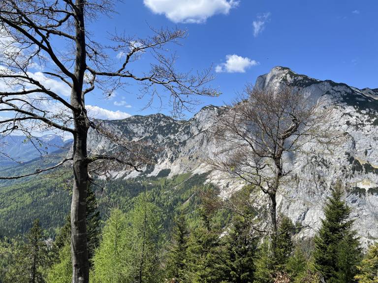foto27