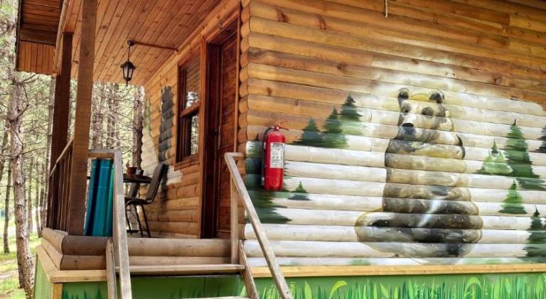 Wonderful lodge with patio & yard | Pets allowed — photo 4