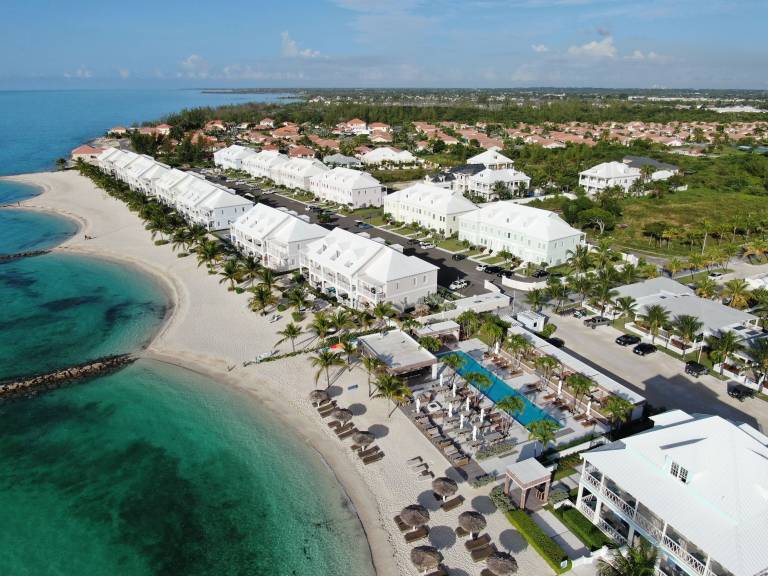 House Palm Cay