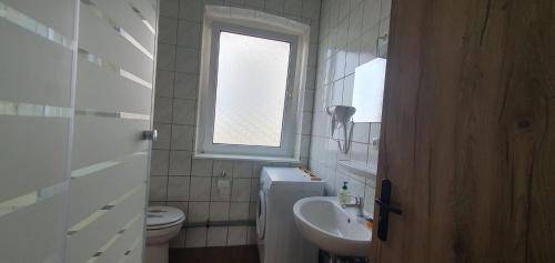 foto7