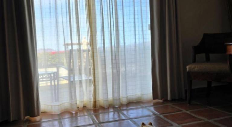 foto23