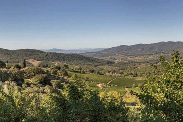 Ferielejlighed Greve in Chianti