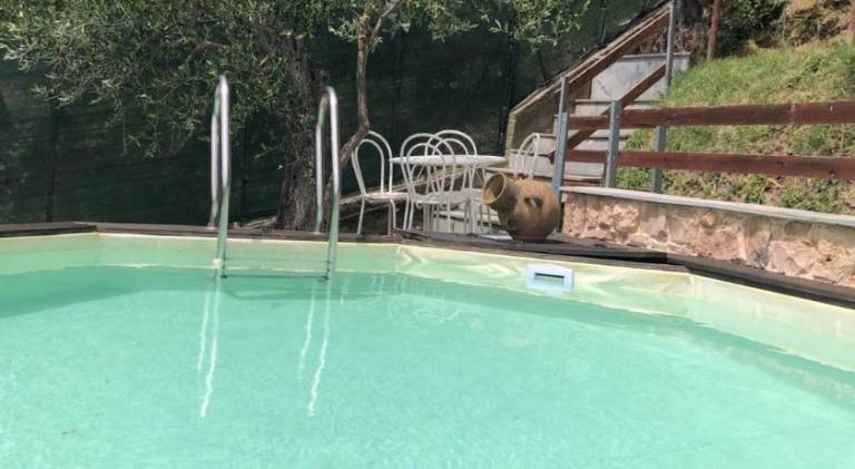 House with pool in Viareggio