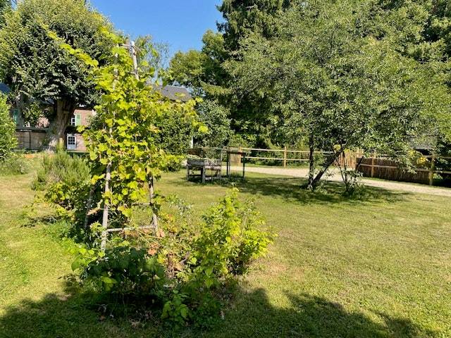 foto39