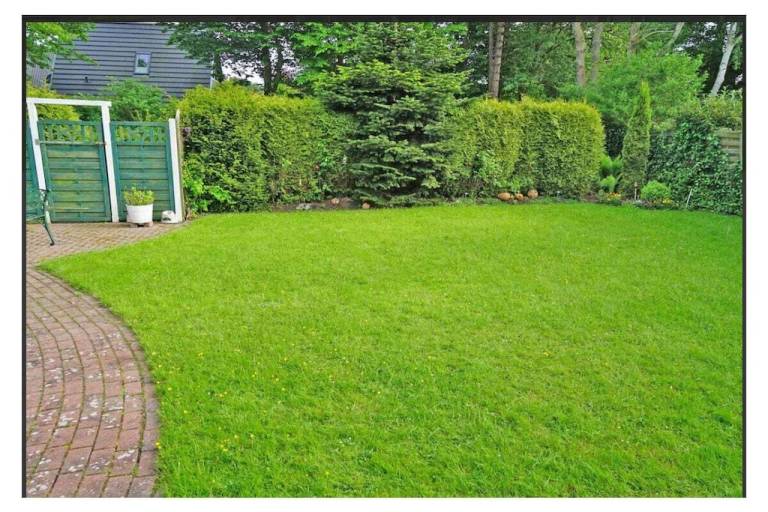 Fully equipped nice vacation home with garden, sauna & patio | Pet-friendly — photo 3