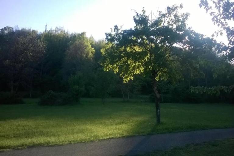 foto33