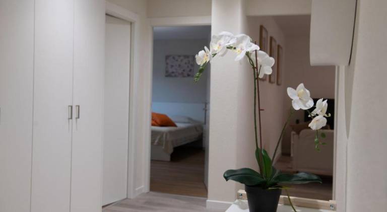 Beautiful holiday apartment | Suitable for remote work | Dogs allowed — photo 3