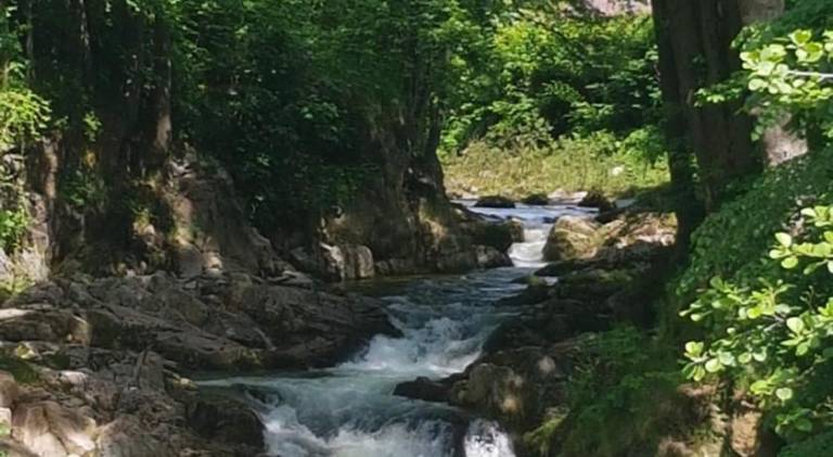 foto47