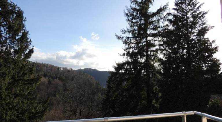 foto12