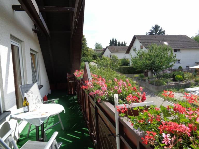 foto20