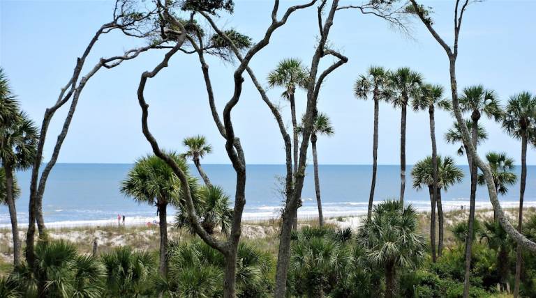Condo  Palmetto Dunes