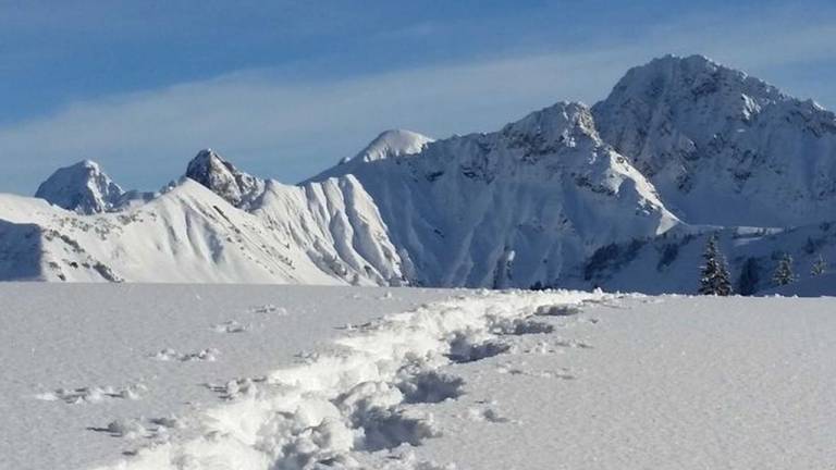Ferienwohnung  Sonntag