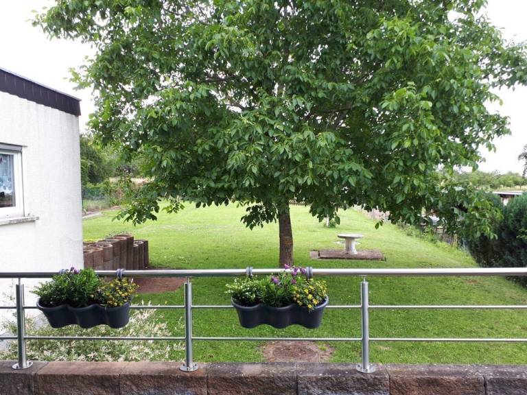 Appartement Losheim am See